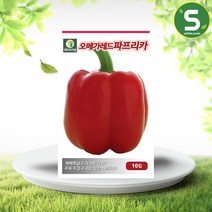 솔림텃밭몰 오메가레드파프리카씨앗 10립 파프리카씨앗 파프리카, 단품
