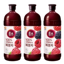 청정원 홍초 복분자 1.5L x 3페트