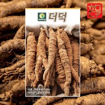더덕 씨앗 30g 더덕종자, 1개