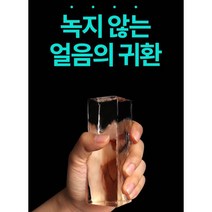 커피콩 아이스트레이 2개세트 큐브라떼 아이스빈 원두 모양 실리콘 얼음틀