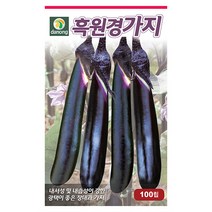 뱀 딸기 씨앗 1000립 - 뱀딸기 딸기키우기 야채씨앗 채소씨앗 채소재배 종묘 종자 베란다 텃밭 씨 씨앗 오이 호박 방울토마토 수박 참, 01_다농_흑원경 가지(100립)