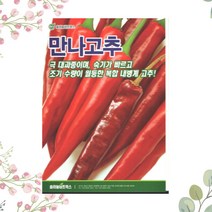 유홍초 인기 제품들