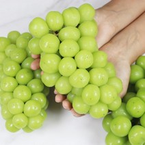 상주 샤인 망고포도 씨없는포도 청포도 샤인머스켓 2kg 에어팩포장, 푸 상주 직송 샤인머스켓 2kg 에어팩포장