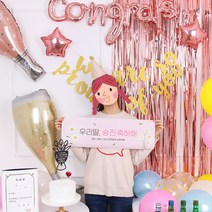 승진풍선장식 진급파티용품 글로우 레인보우, 축하슬로건(16), 술라벨지(테라-4칸)1장