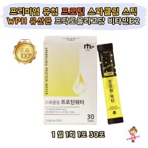 프리미엄 유청 WPH 프로틴 스파클링 레몬맛 스틱 가수분해유청단백질 WPH 프락토올리고당 유산균 22종 비타민B2 간편한 섭취가 편한 여성 여자 40대 50대 60대