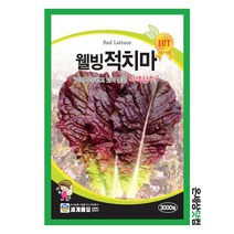 웰빙적치마 3000립 / 상추씨앗 쌈채소씨앗 텃밭가꾸기 베란다화단가꾸기