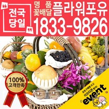 과일바구니 출산 병문안 문병 집들이 선물 예단 이바지 당일배송, (선택05)과일바구니⑤