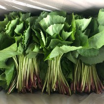 논산 머위나물 머위순 머위잎 머위, 1박스, 머위나물 1kg