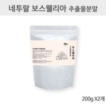 네투랄 보스웰리아 추출물 분말 가루 차 원물 손가락 관절 연골 무릎 인도산 유향 보스웰릭산 테르펜 효능 추천 먹는법 홈쇼핑, 400g(2팩)