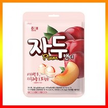 캔디 사탕(도매콜) 자두캔디 130g _20220921EA, 상세페이지 참조