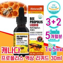 캐나다 식약처 인증 프로 플로 폴라 폴리 포 폴리스 포리스 추출물 플라 프라 보노이드 액상 리퀴드 스포이드 항산화 면역력 면연력 좋은 음식 식품 남자 남성 여성 여자 40대 중년, 3+2 5개월분 - 다니마켓