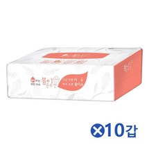 WPX329477생분해 천연펄프 적셔쓰는 물티슈 건티슈 10갑 노먼지