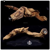 천유[타공홀장착형]/공중부양유목/크레스티드게코유목/크레스티드게코장식품/수조장식/나무위성유목/다트프로그유목/다트프로그장식/천연나무장식, 3mm장착형, 미니