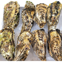 해녀공화국 입망 석화 각굴 껍질굴 지중해식 굴요리, 5kg(50미)