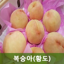 두리반농산 황도복숭아(특) 4.5kg 14-16과, 1box, 황도복숭아(특) 4.5kg 11-13과