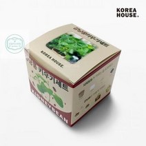 잘 키룰수 있는 강낭콩 키우기세트 배란다텃밭 씨앗키우기 세트 식물기르기 홈가드링