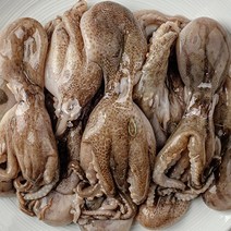 새벽조업당일발송 서해안 활주꾸미 쭈꾸미 쭈꾸미볶음 샤브샤브쭈꾸미, 활 주꾸미 1kg