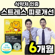 홍경천 로사빈 테아닌 식약청 인정 인증 먹기쉬운 스트레스 관리 골드 프리미엄 세트 영양재 에너지 직장인 건강 건강기능 식품 여성 알파 비타민 40대 제약회사 피로 식약처, 60정 x 6개 (6개월분)