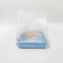 피자비닐 치킨봉지 사각비닐봉투 13인치/100장, 100개
