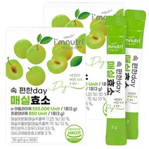 아임뉴트리 속 편한 day 매실효소, 90g, 2개