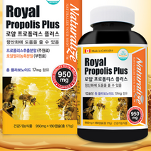 캐나다 로얄 프로폴리스 950mg x 180캡슐