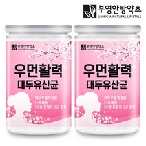 우먼활력 대두추출물 등복합물 유산균 150g, 150g 2개
