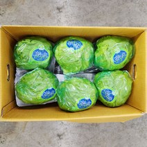 야채24닷컴 양상추 특품 포장 3통 1.8-2kg, 1개