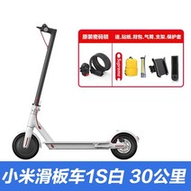 퀵보드 스쿠터 이동수단 스피드 전동 대리 듀얼 킥보드 전기보드 튜닝, 36V, 킥보드 1S화이트+오리지널 비밀번호 잠금장치+5호