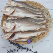 부산 반건조 생선 침조기 반찬용 구이 조림용, 1개, 3마리 (29cm내외 160~200g내외)