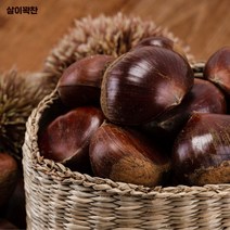 살이 꽉 찬 맛있는 알밤, 알밤 2kg 특