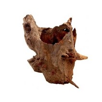 그루터기 유목 1개 랜덤(대/20-30cm) / 수초꾸미기 수초디스플레이 자연유목 잔뿌리