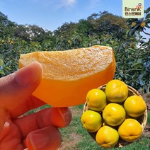 프리미엄 태추단감 배단감 부유단감, 1박스, 5kg (특:선물용 14~17과)