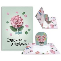 만들기세트 2 (만들기대장) 입체카네이션카드 방과후수업 (만들기재료 미술재료 만들기수업 -10개묶음 카네