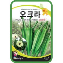 주주씨앗 오크라 100립 이색 채소종자 씨앗