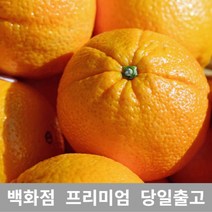 오렌지주스 오렌지 오렌지주스오렌지쥬스 오렌지씨 오렌지18KG 오렌지쥬스, 18KG