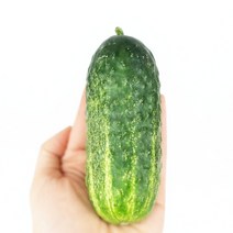 부안 산지직송 미니오이 꼬마오이 스낵오이 러스보이, 1kg 가정용(못난이) / 혼합