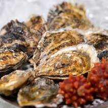 (무료배송)성혼수산 사계절 통굴/개체굴/삼배체굴 (사계절용), 3~8미, 1kg