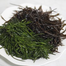 철따라농산물 당일채취 완도 염장 톳 500g 1kg