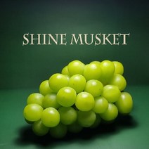 스윗킹샤인머스캣 [스윗킹][특등급/23년 수확] 샤인머스캣 2kg(3~4송이/500g~750g), 1