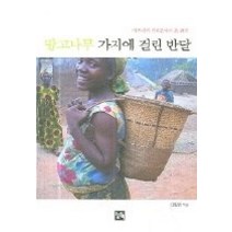 [개똥이네][중고-중] 망고나무 가지에 걸린 반달