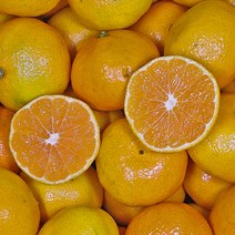 맛가득 제주 레드향 한라봉 천혜향 황금향 하우스귤 비가림 타이벡 타이백 청귤 밀감, 당도선별 감귤, 레드향/황금향/천혜향/한라봉/감귤, 타이벡 감귤 2L (39과 이하) 5Kg