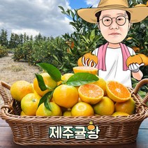 귤왕 제주 농장 직배송 제철 과일 귤 노지 감귤 5kg 10kg, 09.노지감귤 대과 (L~2L) 10kg