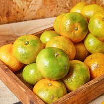 서귀포 제철 햇 감귤 4.5kg 센터과 S-M / 2개 구매시 10kg 발송, 상세페이지 참조, 상세페이지 참조, 상세페이지 참조