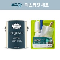 [무광][친환경페인트] 익스퀴짓 1L 4L 18L 냄새없는 무독성페인트 벽페인트 가구페인트 셀프페인트 셀프페인팅 셀프인테리어 배송메모 색상 입력(예시:DEW340), 6인치 벽면 도구세트, 배송메세지에 색상 기입