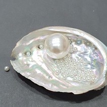 무구멍 왕진주알 액세서리 DIY용재료 구멍없는 큰진주알 악세사리부자재 촬영소품, 20mm(30알)