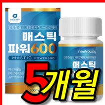 뉴트로웨이 매스틱 파워 MAX 600, 5박스 (5개월분), 600mgx60정