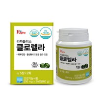 [라파플러스] 피부건강 항산화 클로렐라 250mg x 240정 (24일분), 1개