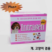 JAYART_인트라젠 플러스(plus+) 스틱 (2gx30p) 강아지종합영양제 애완용 소형견 고양이유산균 장건강 치와와 애용 애견 개영양제+jac220909, 제이아트co_단일옵션