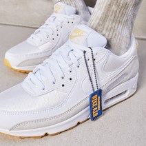 나이키 에어 맥스 90 FR 100