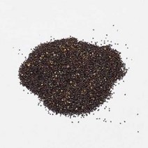 펫모닝 캣닙 씨앗 2g(PMC-153), 상세페이지 참조